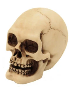 2er Set Graveyard Totenschädel Medium