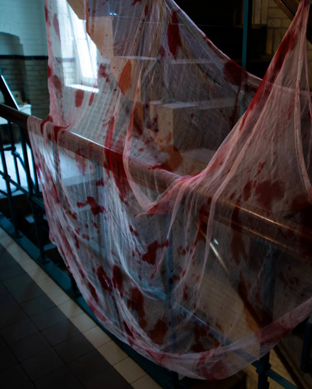 Blutiges Lumpen Tuch & Dekonetz 250x200cm – Bild 2