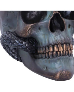 Schuppige Schlange In Totenkopf 19cm 11 Schuppige Schlange In Totenkopf 19cm -Halloween Dekorations Geschäft das schicksal der schlange gothic schaedel 19cm serpentine fate gothic snake skull gothic deko totenkopf 53993 6