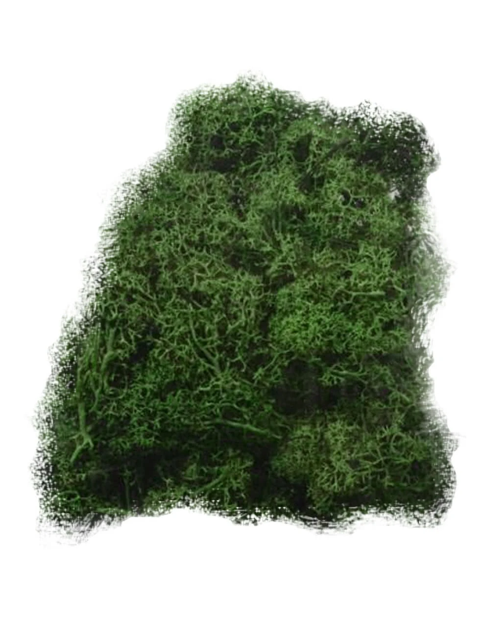 Halloween Deko Moos 50 G