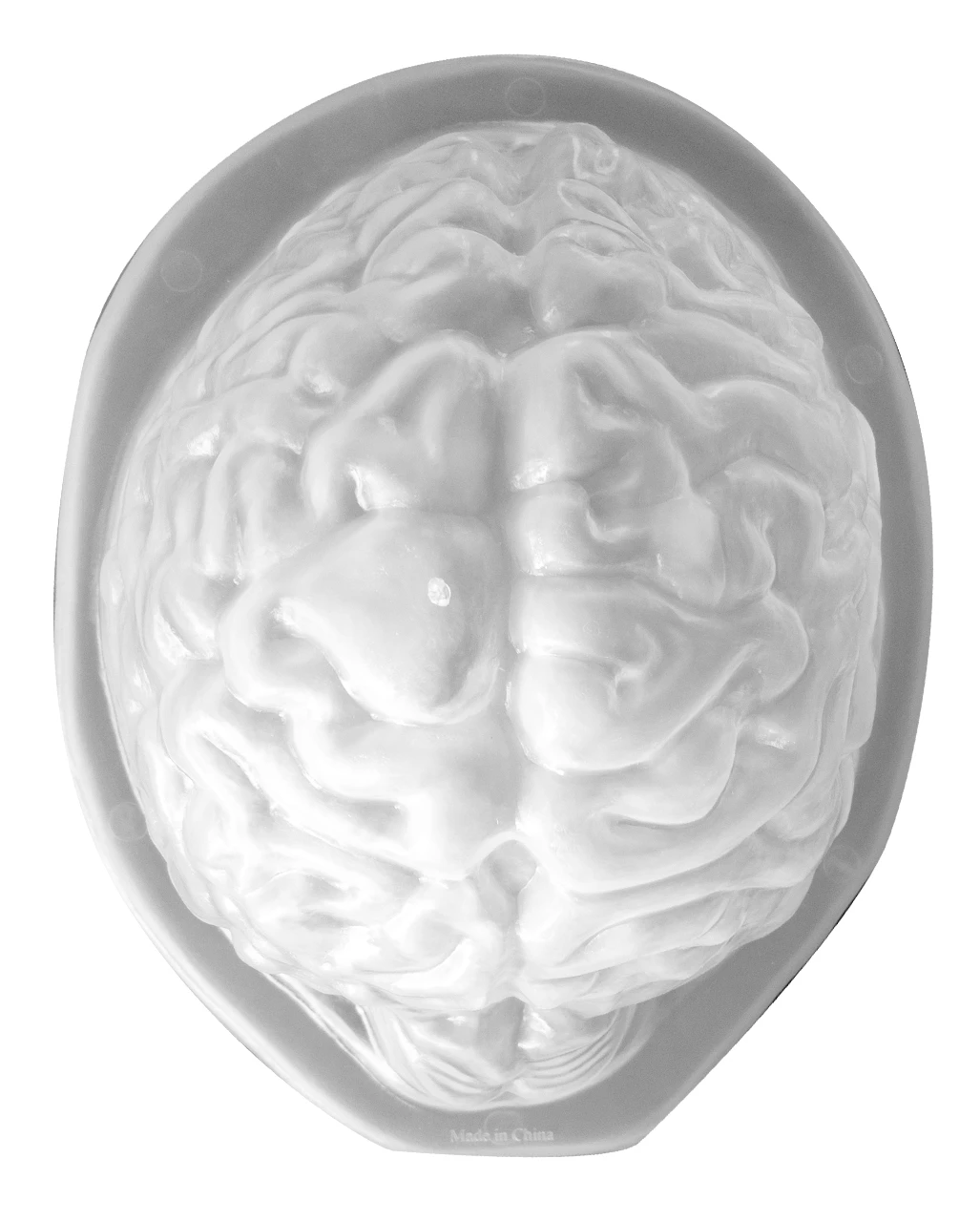 Halloween Puddingform Gehirn – Bild 2