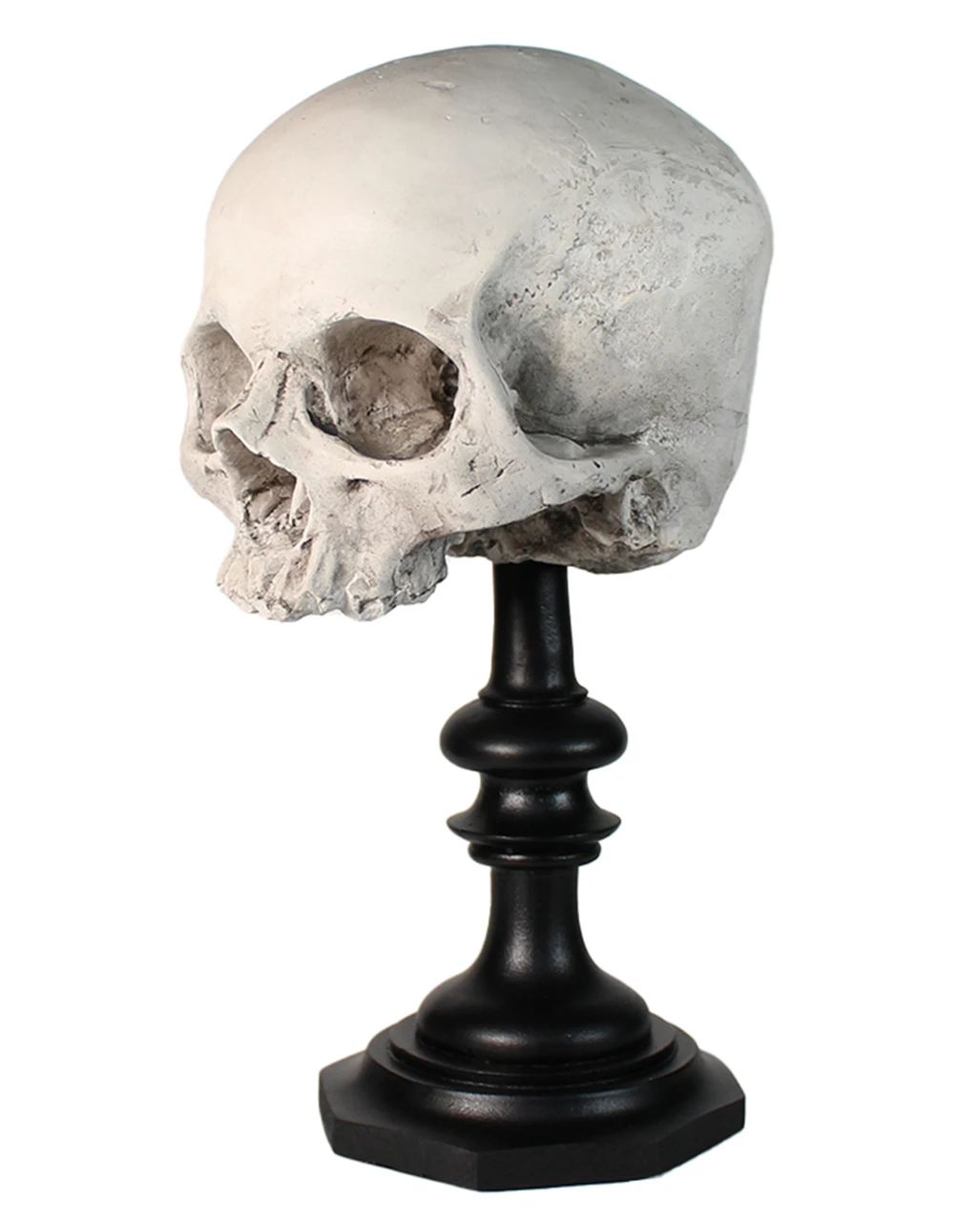 J. DOE Totenschädel Auf Sockel 20cm – Bild 2