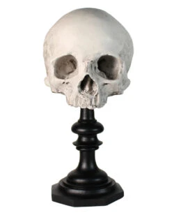 J. DOE Totenschädel Auf Sockel 20cm