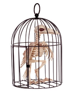 Raben Skelett Im Käfig