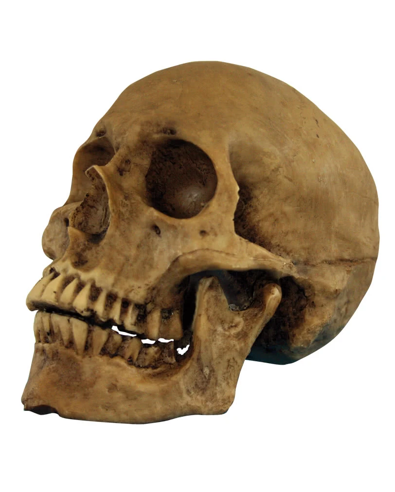 Realistischer Totenschädel Polyresin