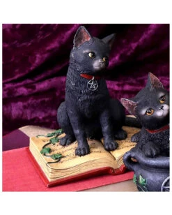 Schwarze Hexenkatze Mit Pentagramm 9 Schwarze Hexenkatze Mit Pentagramm -Halloween Dekorations Geschäft schwarze katze mit hexenbuch schwarze hexenkatze mit pentagramm witch cat eclipse 39250 05