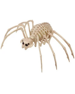 Tarantel Skelettfigur Spinne 20x35cm